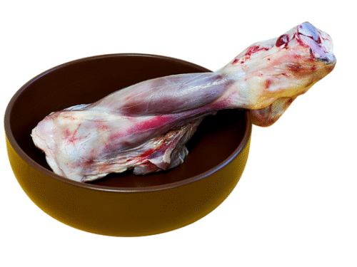 Hueso masticación BARF