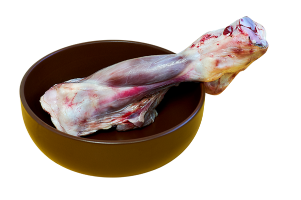 Hueso masticación BARF